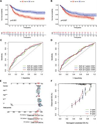 Identification of pyroptosis-related subtypes, development of a prognostic model, and characterization of tumour microenvironment infiltration in gastric cancer